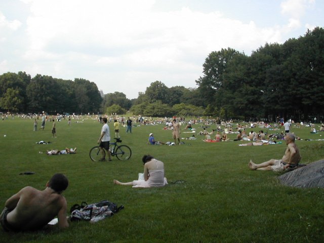 Central Park