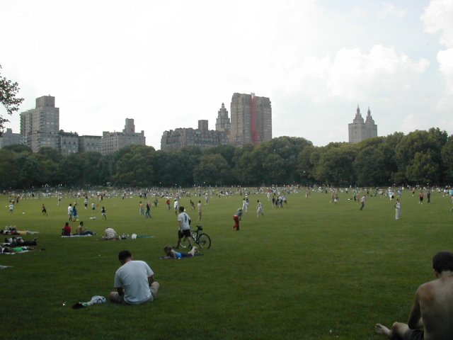 The Park and the Skyscrapers