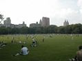 The Park and the Skyscrapers